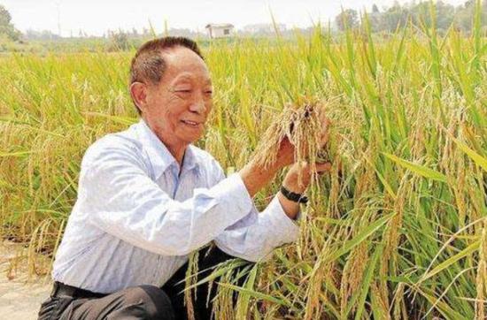袁隆平出生档案被发现:协和出生 小名“袁小孩