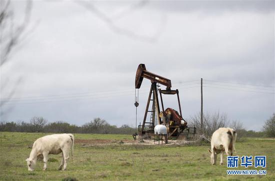 这是2019年3月12日拍摄的美国得克萨斯州石油小镇卢灵的资料照片。 新华社记者王迎摄