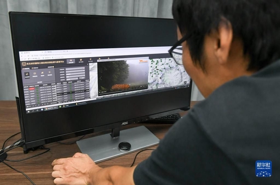  科研人员在办公室内利用“天地空一体化监测系统”研究分析野生东北虎影像（2020年7月21日摄）。新华社记者 颜麟蕴 摄