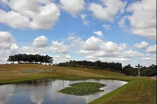 墓地白天的场景,图片来源于网络