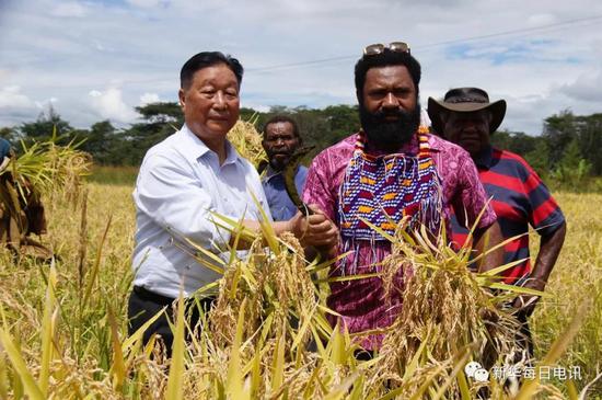 2018年4月25日， 林占熺（左一）在巴布亚新几内亚与当地农民一起庆祝粮食丰产。（资料片）