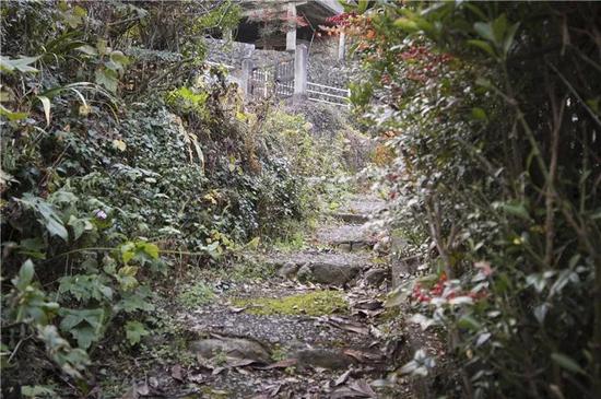 图为鸠之巢车站和“青年定住声援住宅”之间的巷子。