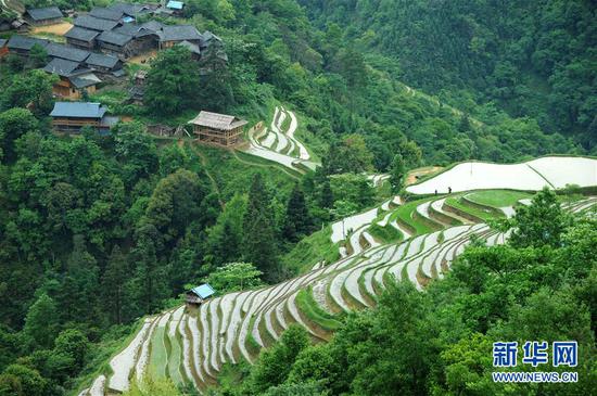 贵州省榕江县计划乡阳开苗寨梯田景观（2018年5月7日摄）。新华社记者 杨文斌 摄