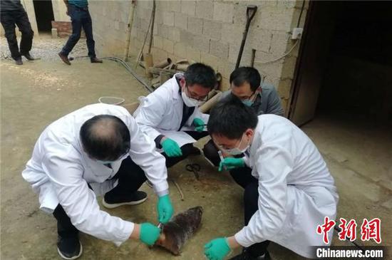 图为课题组正在工作中。 昆明理工大学供图