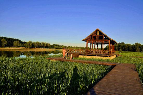 今天起通州大运河森林公园预约入园 部分出入口