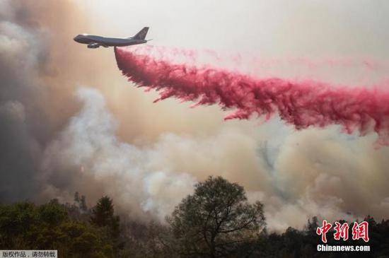 图为当地出动飞机撒红色阻燃剂灭火。