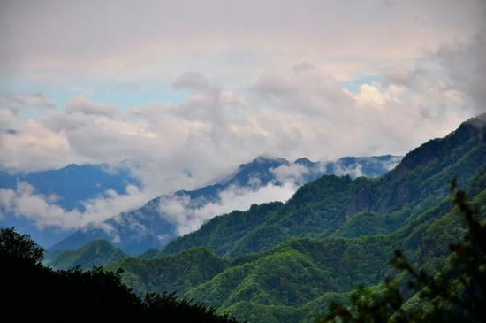 111亿元！1474万人次！