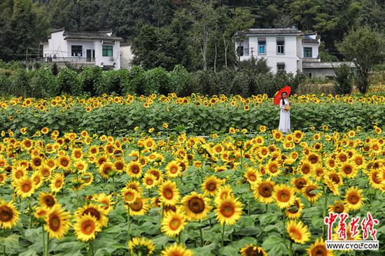  中国青年报·中青在线记者 李建泉/摄