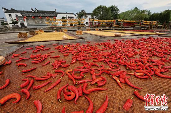 中国青年报·中青在线记者 李建泉/摄