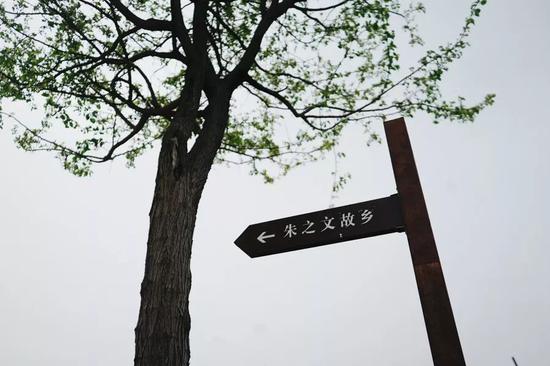 山东省菏泽市单县朱楼村，村口特地竖了路牌，标示着“朱之文故乡”。新京报记者 郑新洽摄