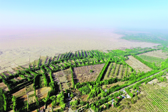 4月21日，无人机拍摄的亚尔买里村。防风林将沙漠与村庄隔开。