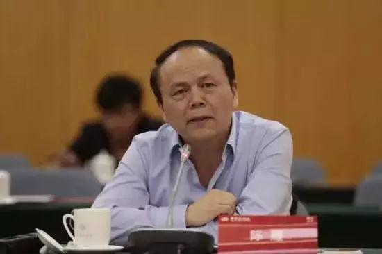 陈耀 中国区域经济学会副会长兼秘书长