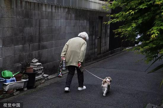 牵着宠物狗的日本老奶奶。