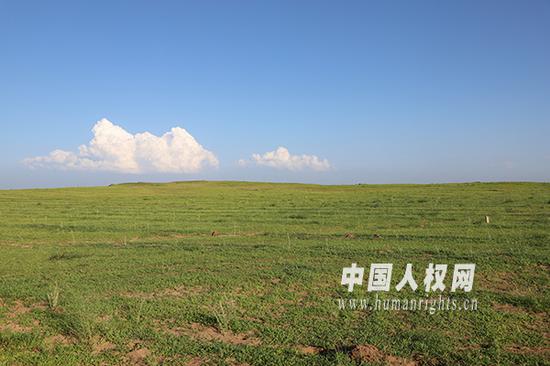 图为在科右中旗实地拍摄的网友在“蚂蚁森林”里种植的柠条。“蚂蚁森林”是支付宝上的一个种树平台，用户可以在里面虚拟种树，每养成一棵树，就会有一棵真树被种下。自2016年8月推出以来，“蚂蚁森林”已走过了3个年头，许多用户在里面成功种植了各种树木，为国家乃至整个地球的植被绿化、生态保护作出自己的努力。（摄影/贾璞玉）