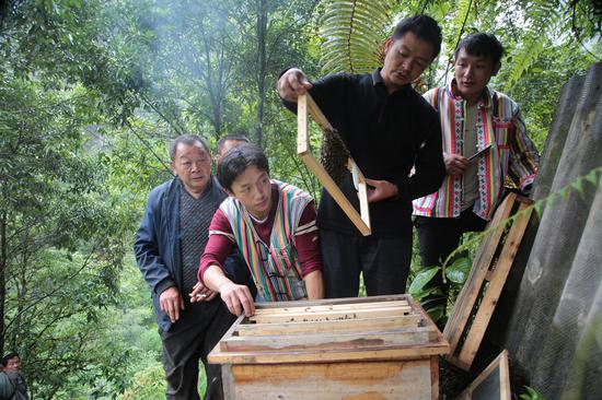 农技专家（右二）给独龙族群众传授规范养蜂技术。王靖生摄