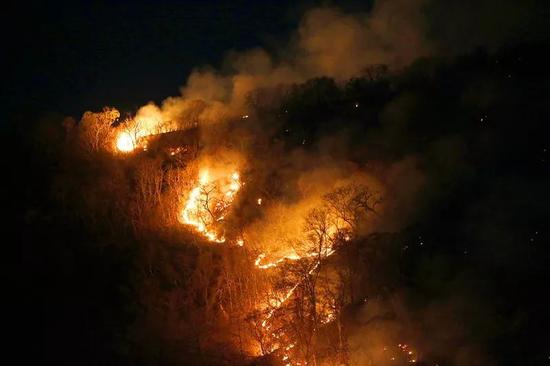 这是8月17日在巴西托坎廷斯州拍摄的亚马孙雨林中一处燃烧的林区。新华社发