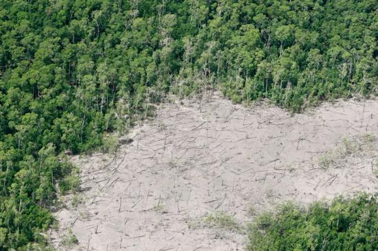 这是2009年在巴西马拉尼昂州航拍的一处被毁掉的雨林。新华社/路透