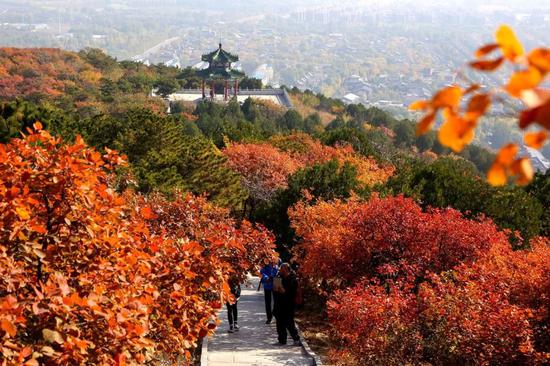 绿色北京:由绿到美 首都北京绿色发展的一次华丽转身 西山国家森林公园吸引市民赏景