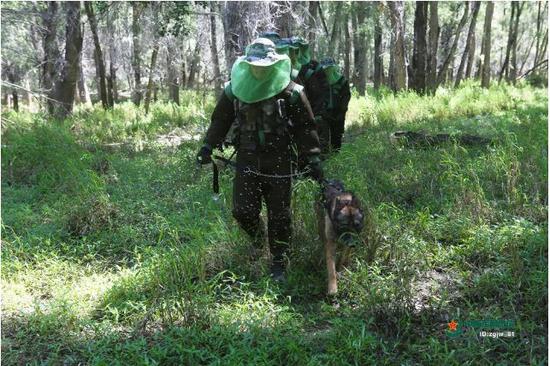 2020 中国军人在你身边