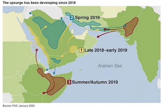 吃掉几亿人粮食蝗灾咋来的?印巴都坐下来好好说