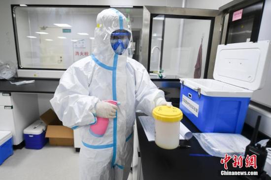 资料图：医务人员在专业的密闭房间内对样本进行核酸检测。 中新社记者 杨华峰 摄