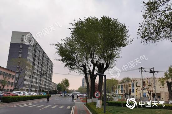 中国天气网@今天北京有降水山区飘雪 最高气温跌至12℃