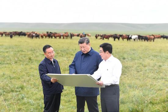 2019年8月，习近平在甘肃省张掖市山丹县山丹马场考察调研。