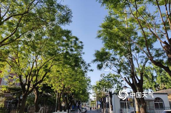 今晨京城阳光不燥,微风正好。