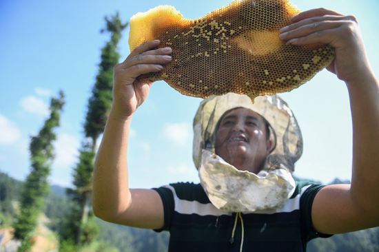 △十八洞村村民龙先兰学习养蜂技术，因地制宜发展养蜂产业，逐渐成为养蜂大户，还收获了甜蜜的爱情。