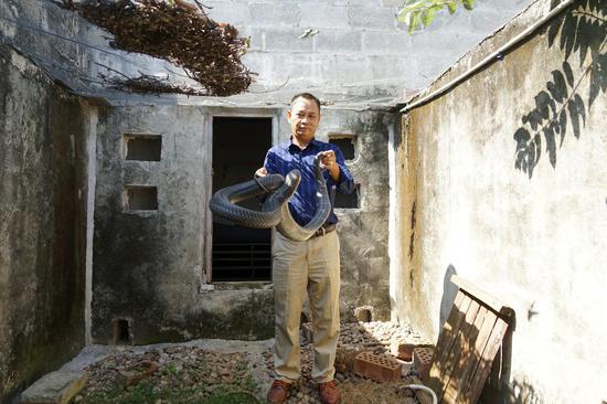 广西养蛇人：最常见和最怕的都是蛇咬伤