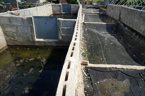 广西养蛇人：最常见和最怕的都是蛇咬伤