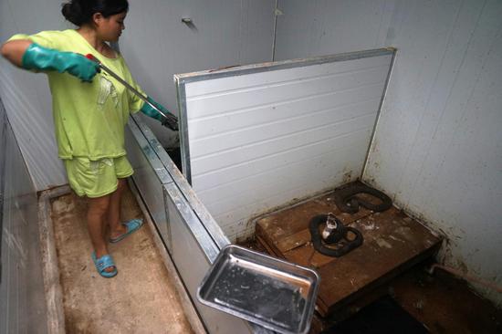 广西养蛇人：最常见和最怕的都是蛇咬伤