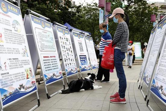  昆明市举办文明养犬宣传活动。图/视觉中国