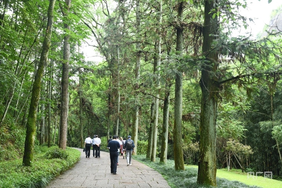 山清水秀、林木葱葱的武夷山风景区（央广网记者 龚雯摄）