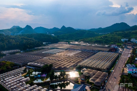 铜仁市万山区九丰农业博览园航拍（央广网发 钱昌江 摄）