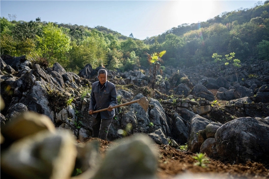 李华明在云南西畴县岩头村里劳动(3月26日摄).新华社记者 江文耀 摄