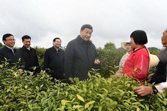 2020年4月21日，习近平总书记在陕西省安康市平利县老县镇蒋家坪村女娲凤凰茶业现代示范园区，同茶农们亲切交谈。