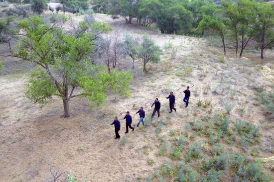 在甘肃省武威市古浪县八步沙林场，场长郭万刚（左一）和大家一起前往治沙点（2019年8月23日摄，无人机照片）。新华社记者 范培珅 摄