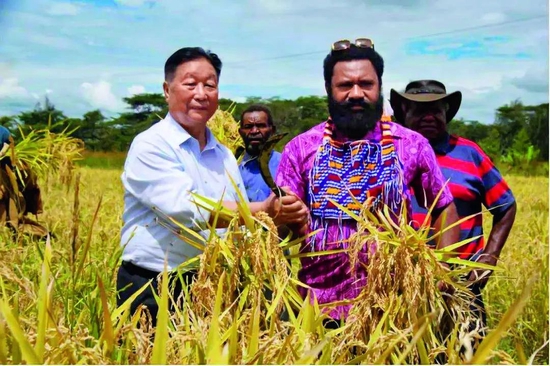 ·2018年，林占熺在巴布亚新几内亚与当地农民庆祝丰收。