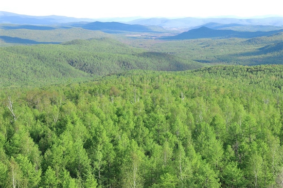 这是2022年5月26日拍摄的大兴安岭林海.新华社记者 徐凯鑫 摄