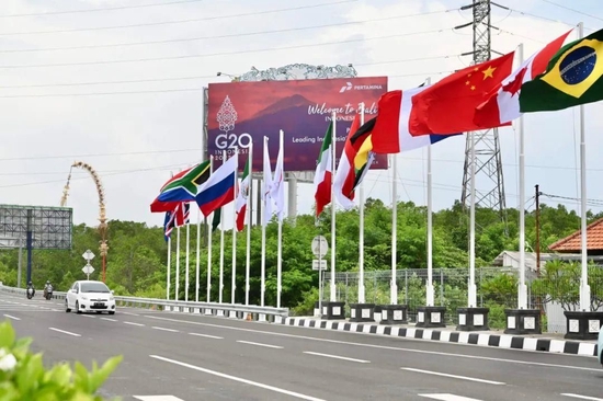 △印尼巴厘岛道路上G20成员国的国旗及欢迎海报
