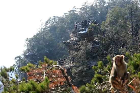 1月18日,游人在张家界国家森林公园黄石寨游览。新华社发(吴勇兵摄)