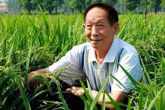 90后打老人:90后觉得自己老了?有些90岁老人却还在996