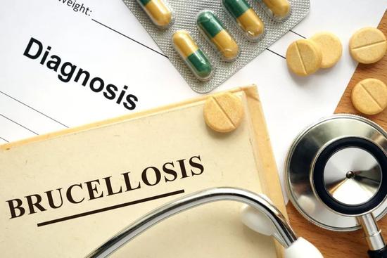 65名学生布病检测阳性 国内未报道过人传染人病