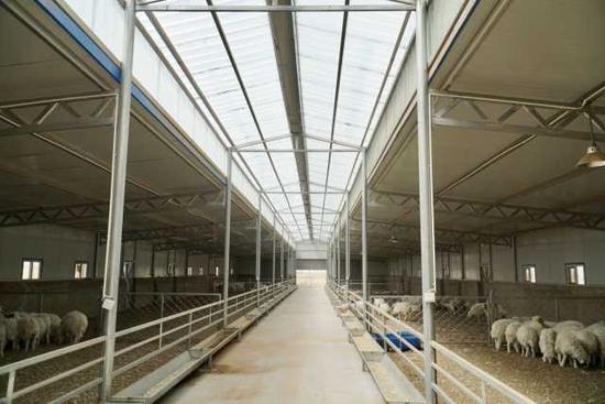 现代化羊圈.