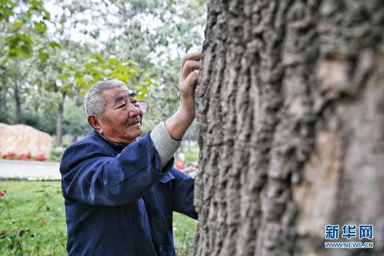  自1971年起，河南兰考农民魏善民照顾了“焦桐”足足50年（资料照片）。新华社发