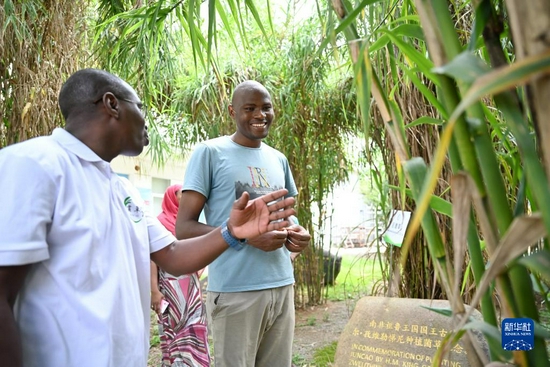 8月12日，尼日利亚留学生拉瓦迪·达蒂（左一）和肯尼亚留学生艾亚利拉·雅各布·奥卡尔在福建农林大学的“国际菌草苑”交流菌草栽培技术。新华社记者 林善传 摄