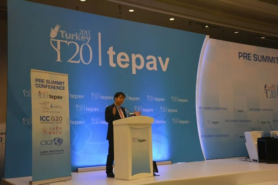  2015年11月15日，王文在土耳其G20峰会预热峰会、二十国智库峰会上做主旨演讲。