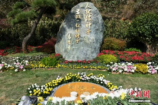 The picture shows the tombstones of Academician Yuan Longping surrounded by flowers.Photo by Yang Huafeng
