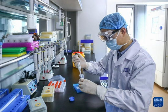 工作人员在国药集团中国生物新冠疫苗生产基地质量检定部门对新型冠状病毒灭活疫苗样品进行杂质检测（2020年4月11日摄）。新华社记者 张玉薇 摄